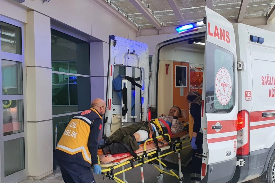 Manisa'da domuzun saldırdığı çoban yaralandı haberinin görseli