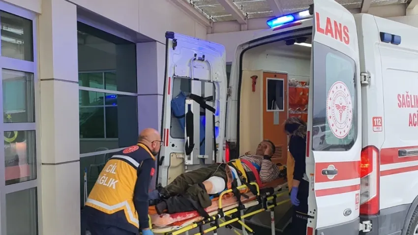 Manisa'da domuzun saldırdığı çoban yaralandı haberinin görseli