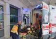Manisa'da domuzun saldırdığı çoban yaralandı