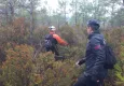 Mantar toplamaya giden adam her yerde aranıyor