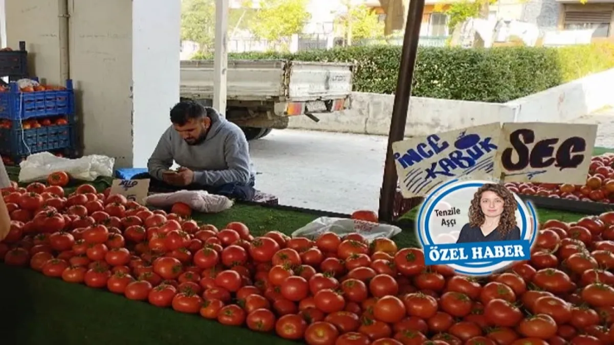 Yüzde 70’i telef oldu: 2023’ün kara tablosu haberinin görseli