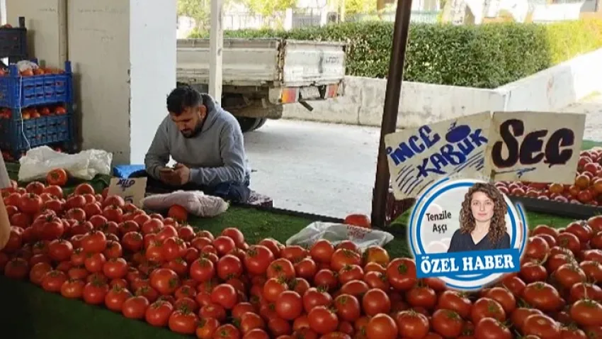 Yüzde 70’i telef oldu: 2023’ün kara tablosu