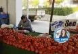 Yüzde 70’i telef oldu: 2023’ün kara tablosu