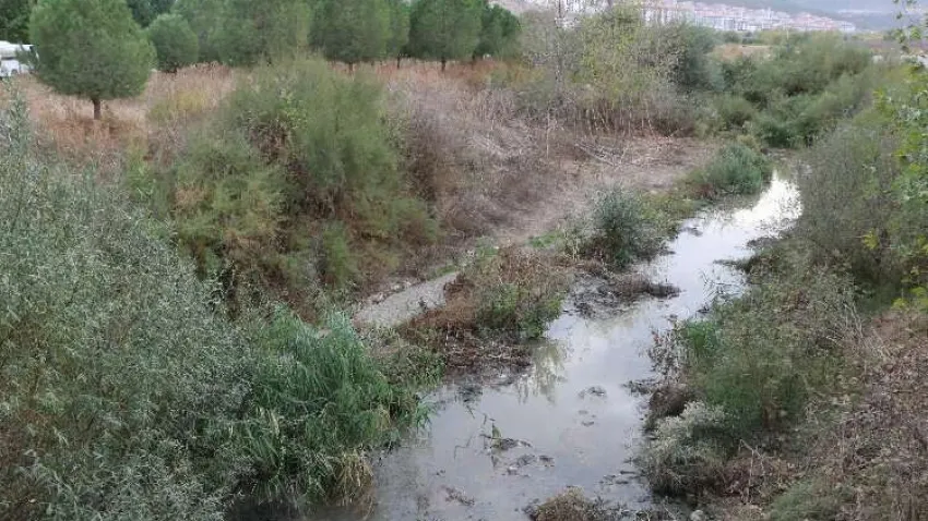 gedize doğru giden atık