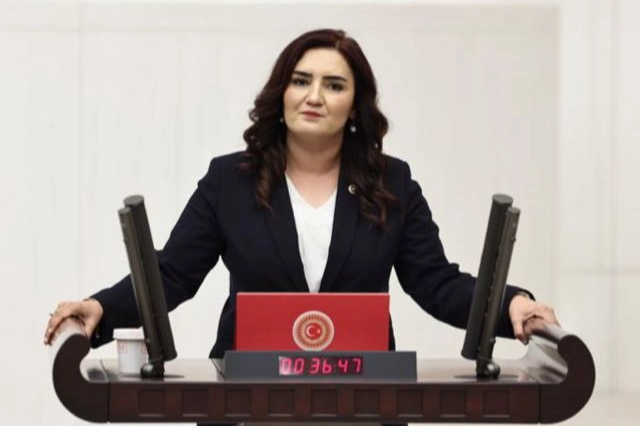 Epstein davası Meclis gündeminde: İki elimiz yakanızda! haberinin görseli