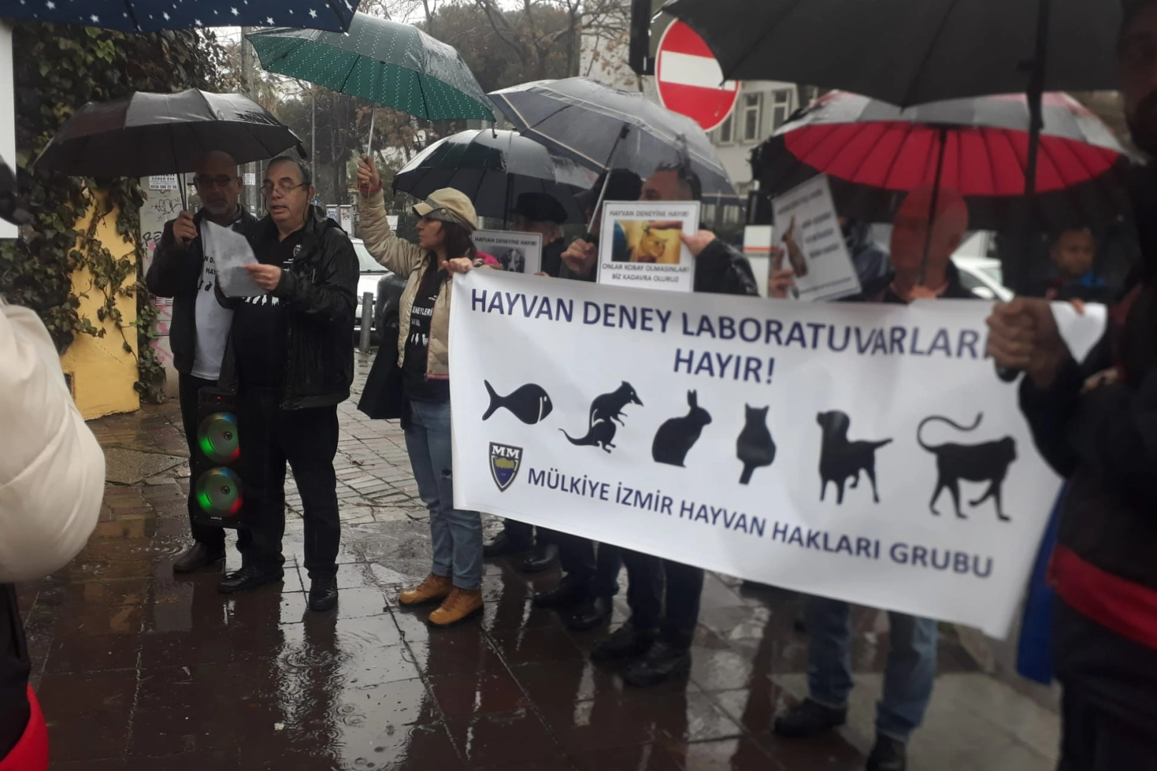 Hayvan deney laboratuvarları kapatılmalı! haberinin görseli
