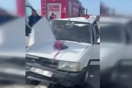 TEM'de feci kaza: Ölü ve yaralılar var haberinin görseli
