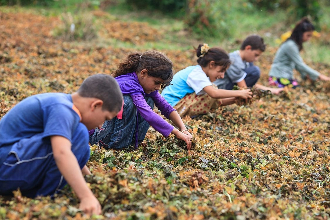 Son on bir yılda 600’ü aşkın çocuk işçi yaşamını kaybetti!