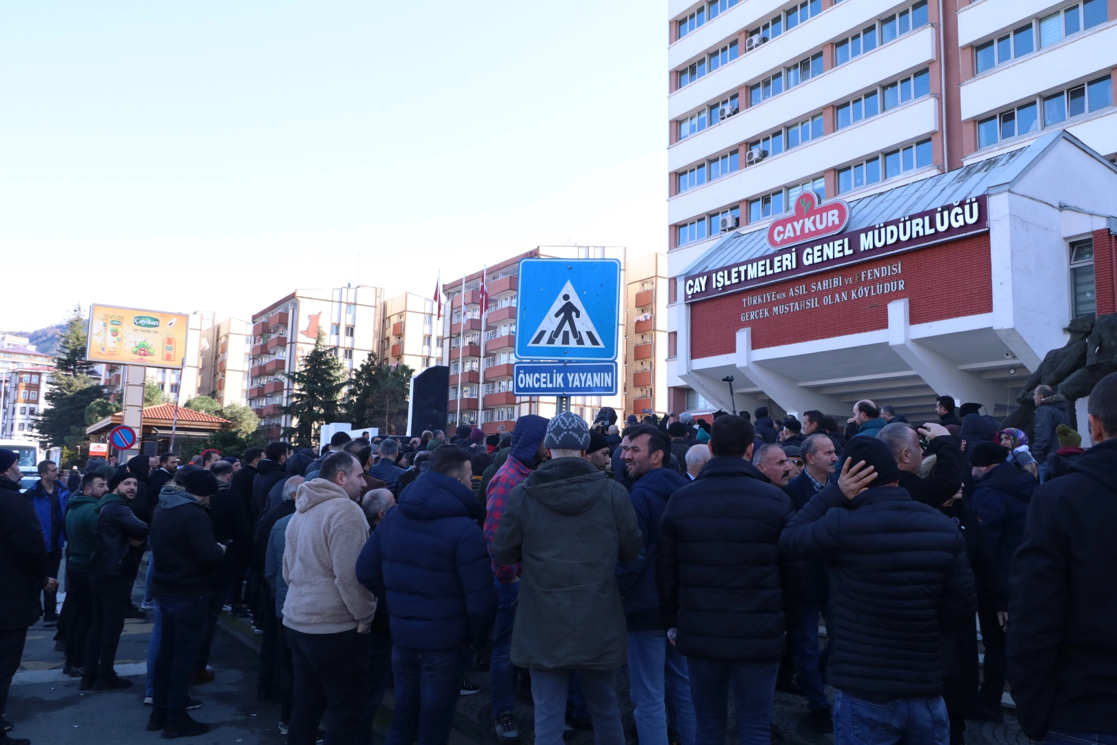 Rize’de işçiler kendisini ayı gibi hissediyor haberinin görseli