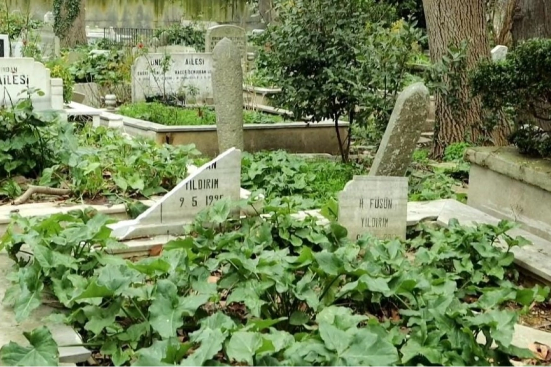 Ağaç budama çalışmalarında mezarlar zarar gördü! Vatandaş tepkili haberinin görseli