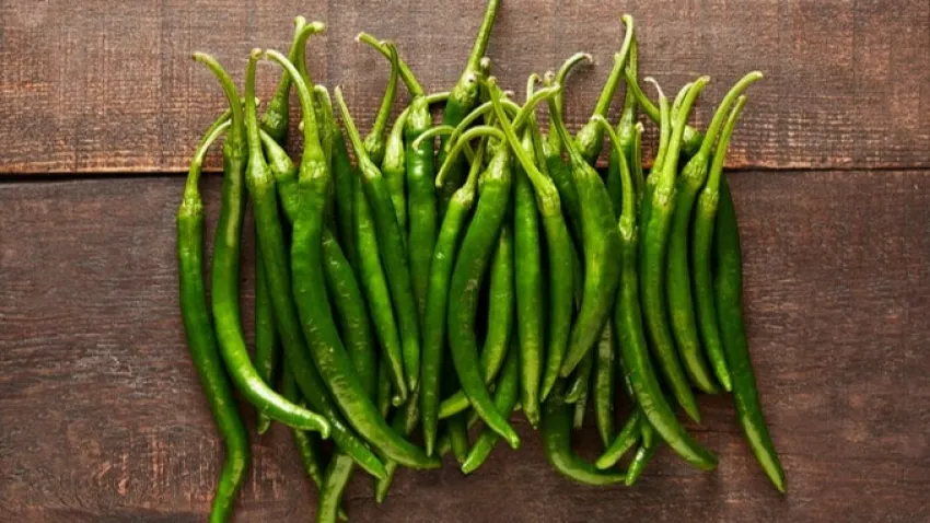 Aşırıcı acı biber tüketimi bağımlılık yapıyor haberinin görseli