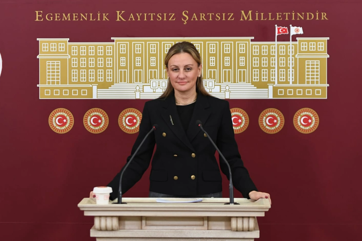 Milletvekili Ösen'den turizm eleştirisi haberinin görseli
