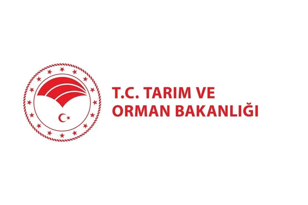 Tarım ve Orman Bakanlığı personel alımı başvurusu nasıl yapılır? Tarım ve Orman Bakanlığı personel alımı kadro dağılımı belli oldu haberinin görseli