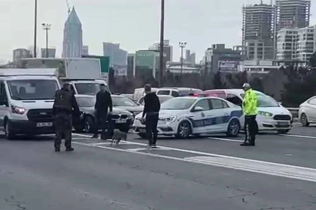 İstanbul trafiğinde tilki şoku... Uzun araç trafiği oluştu