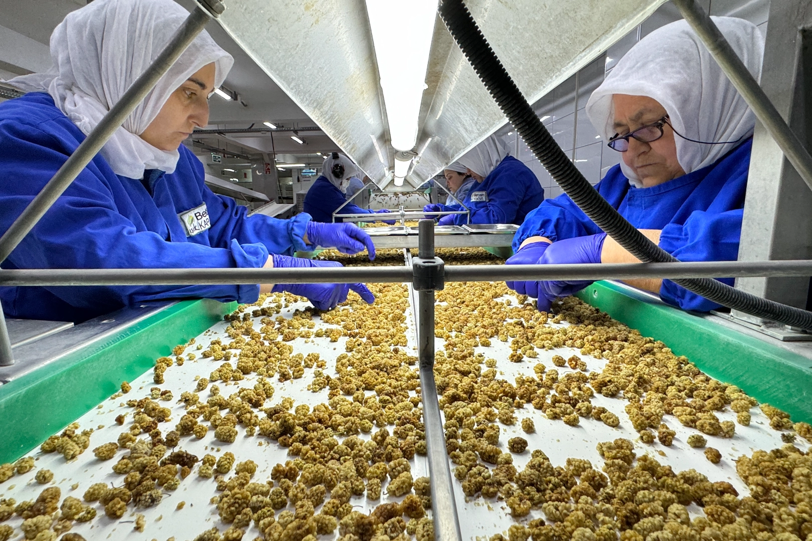 Türk organik sektörünün yeni ihracat hedefi 2 milyar dolar haberinin görseli