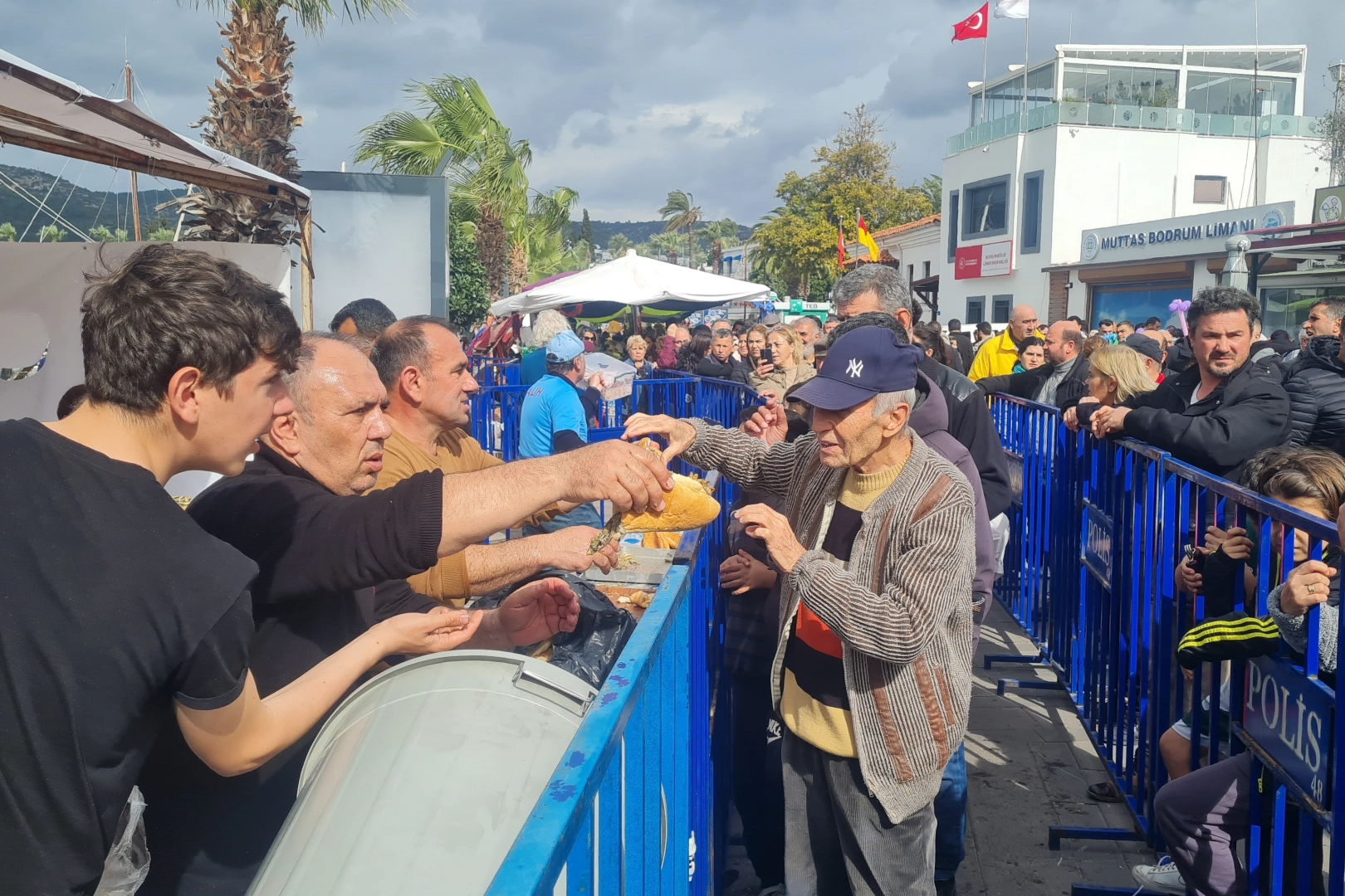 Bodrum'da 3 ton hamsi dağıtıldı haberinin görseli