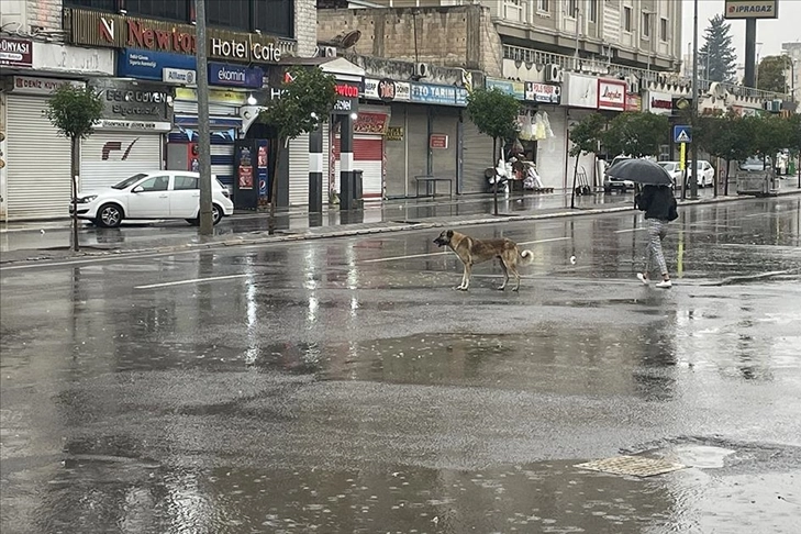 Şanlıurfa'da sağanak etkili oldu: Okullar 1 gün tatil