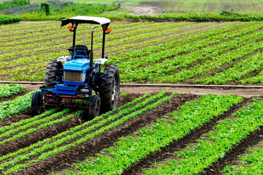 Tarım Bakanlığı, çiftçilere Şubat ayında cömert destekler sağladı