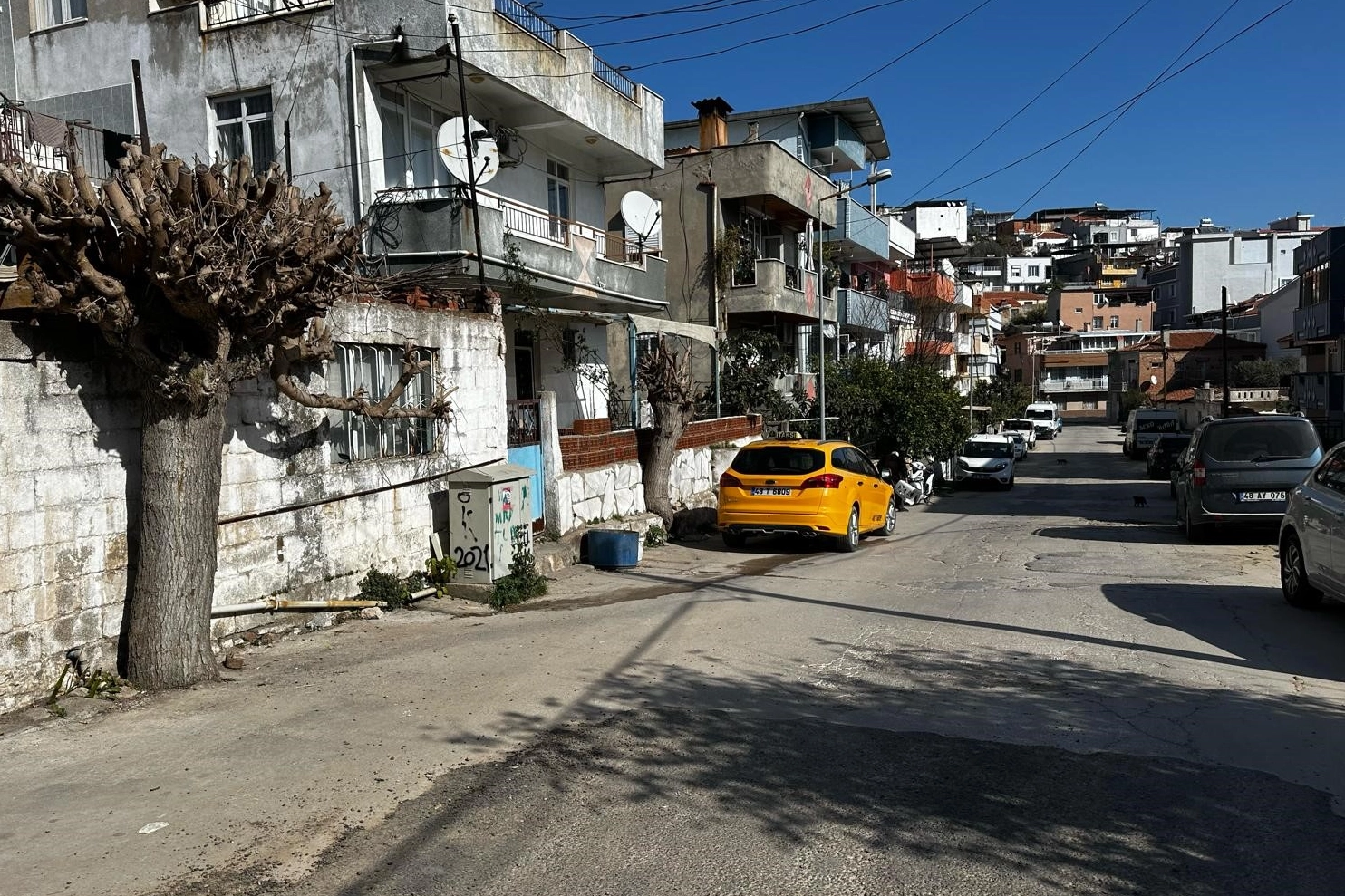 Muğla Milas’ta yaşlı kadın evinde ölü bulundu