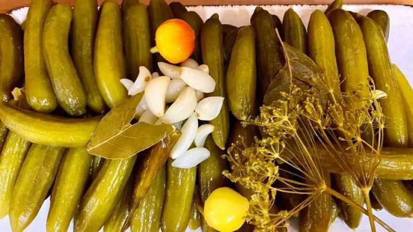 salatalık turşusu
