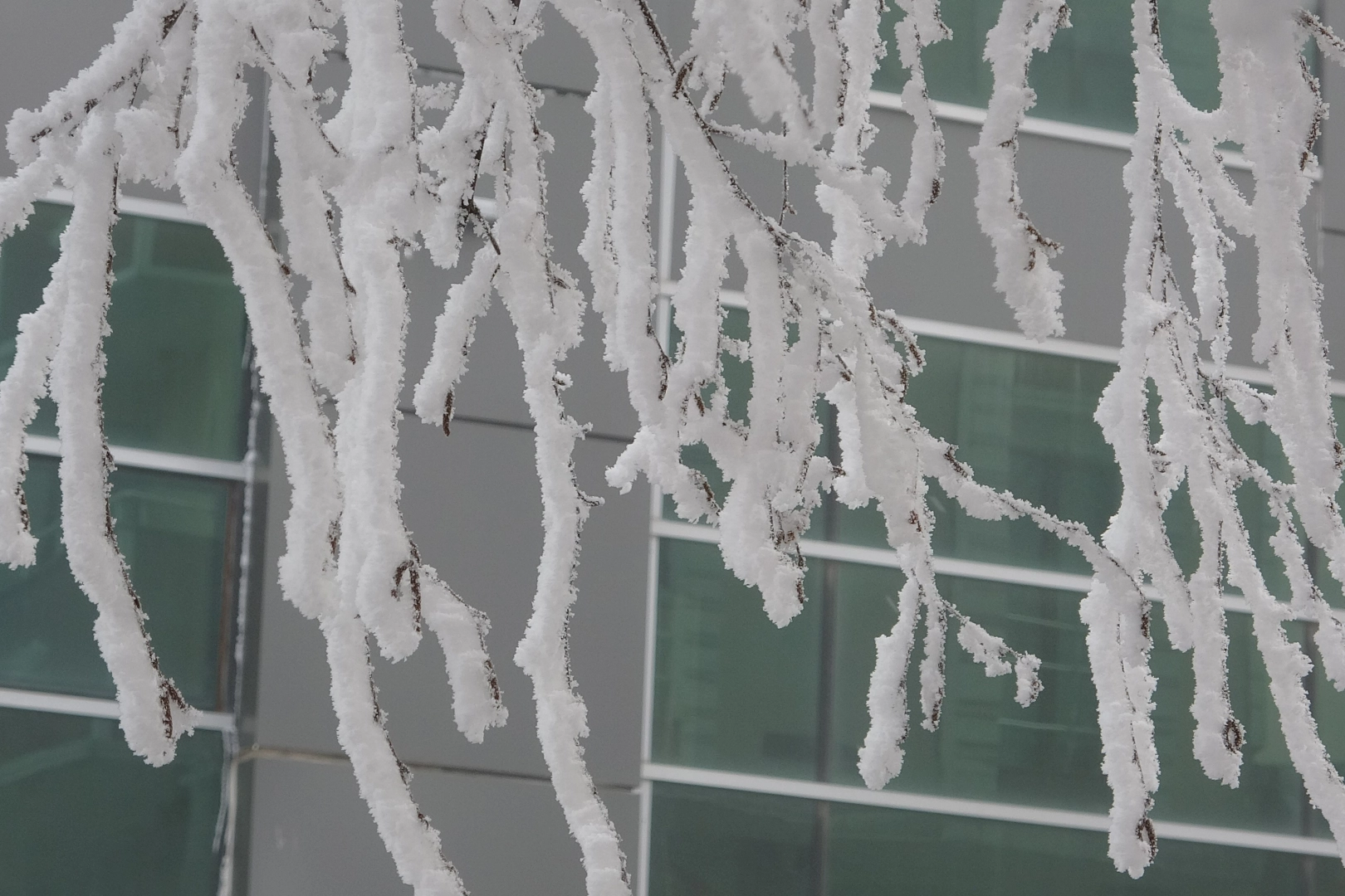 Ardahan'da en düşük hava sıcaklığı eksi 23 derece! haberinin görseli