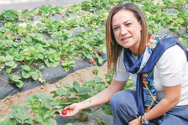 Efes Selçuk'tan 3 bin 622 vatandaşa tohum yardımı