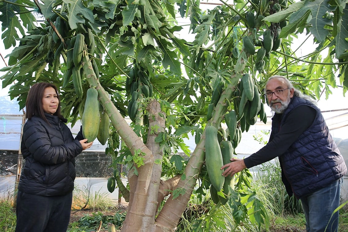 Siparişler Arttıkça Artıyor! Eşi İçin Başladı İşi Oldu! haberinin görseli