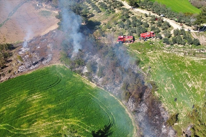 Osmaniye'de orman yangını: 5 dekarlık alan zarar gördü