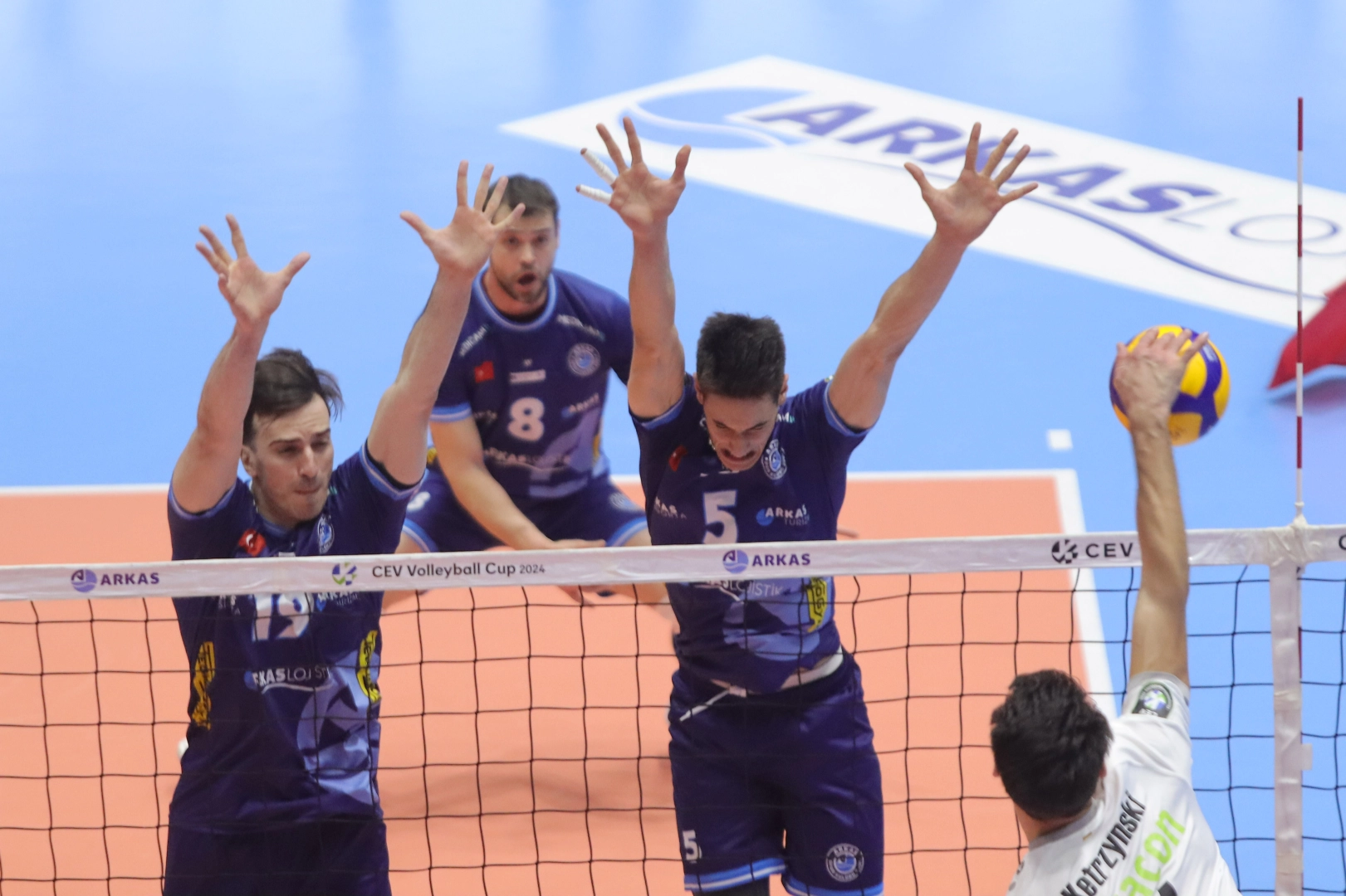Arkas Spor, yarı finalde elendi  haberinin görseli