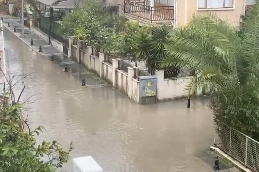 Muğla’da şiddetli lodos ve sağanak yağış: Ağaçlar devrildi, sokaklar dereye döndü