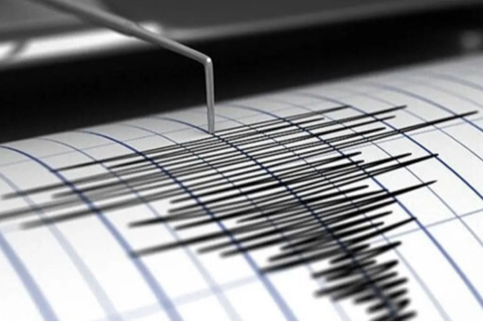 Deprem Sonrası Travmalı Olgulara Cerrahi Yaklaşım