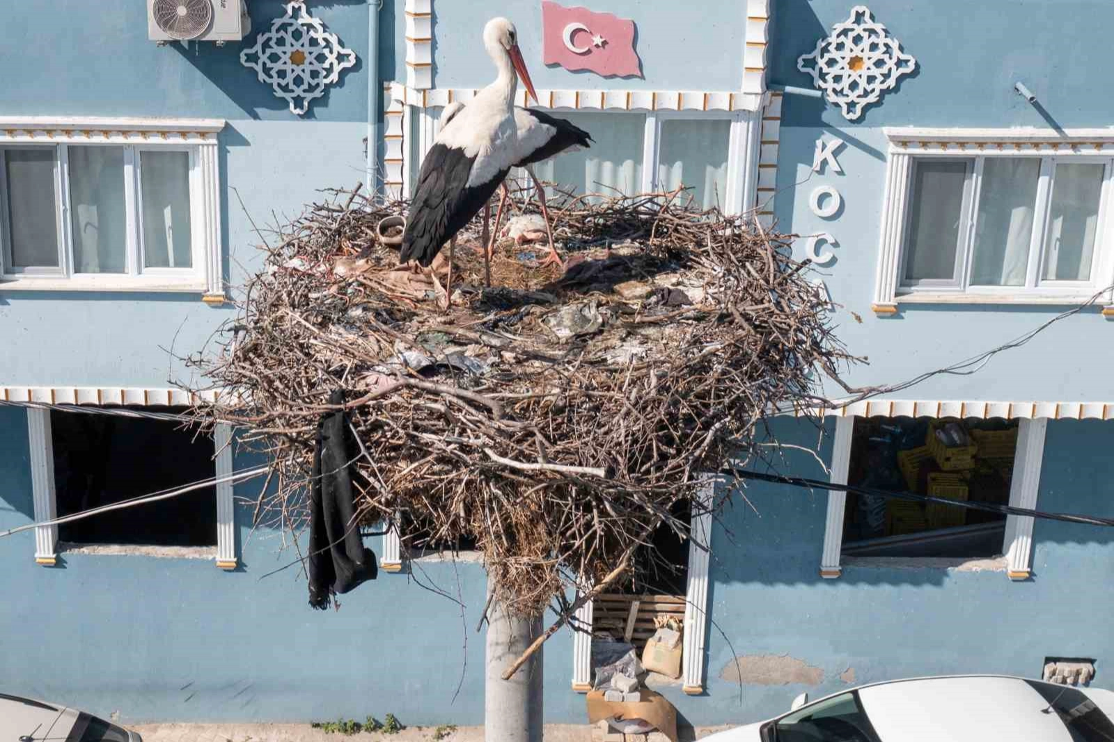 Balıkçı Adem Yılmaz ile Yaren leyleğin dostluğu