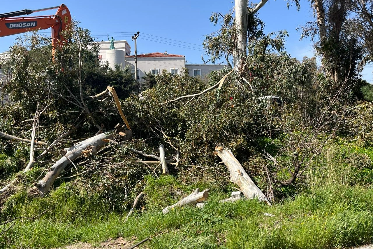 TİP'ten Foça'da suç duyurusu