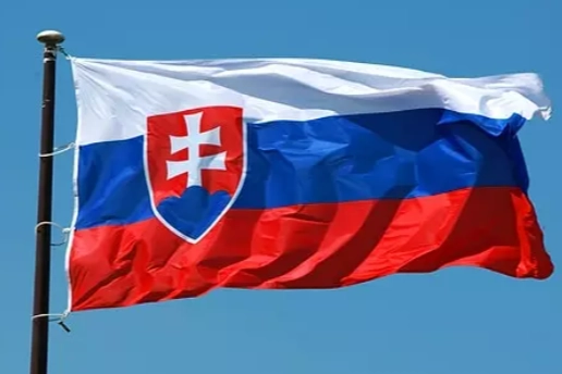Slovakya'da kasabaya ayı indi: 2 yaralı haberinin görseli
