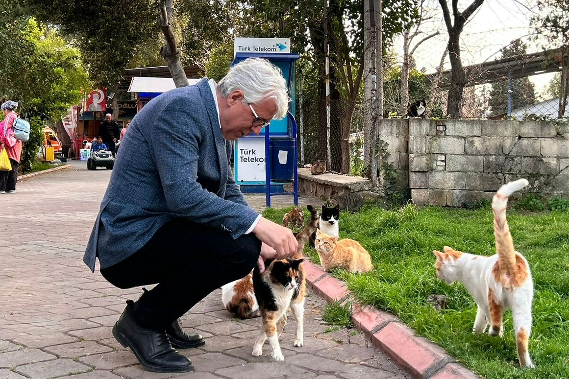 Buca’ya sokak hayvanları için modern tesis