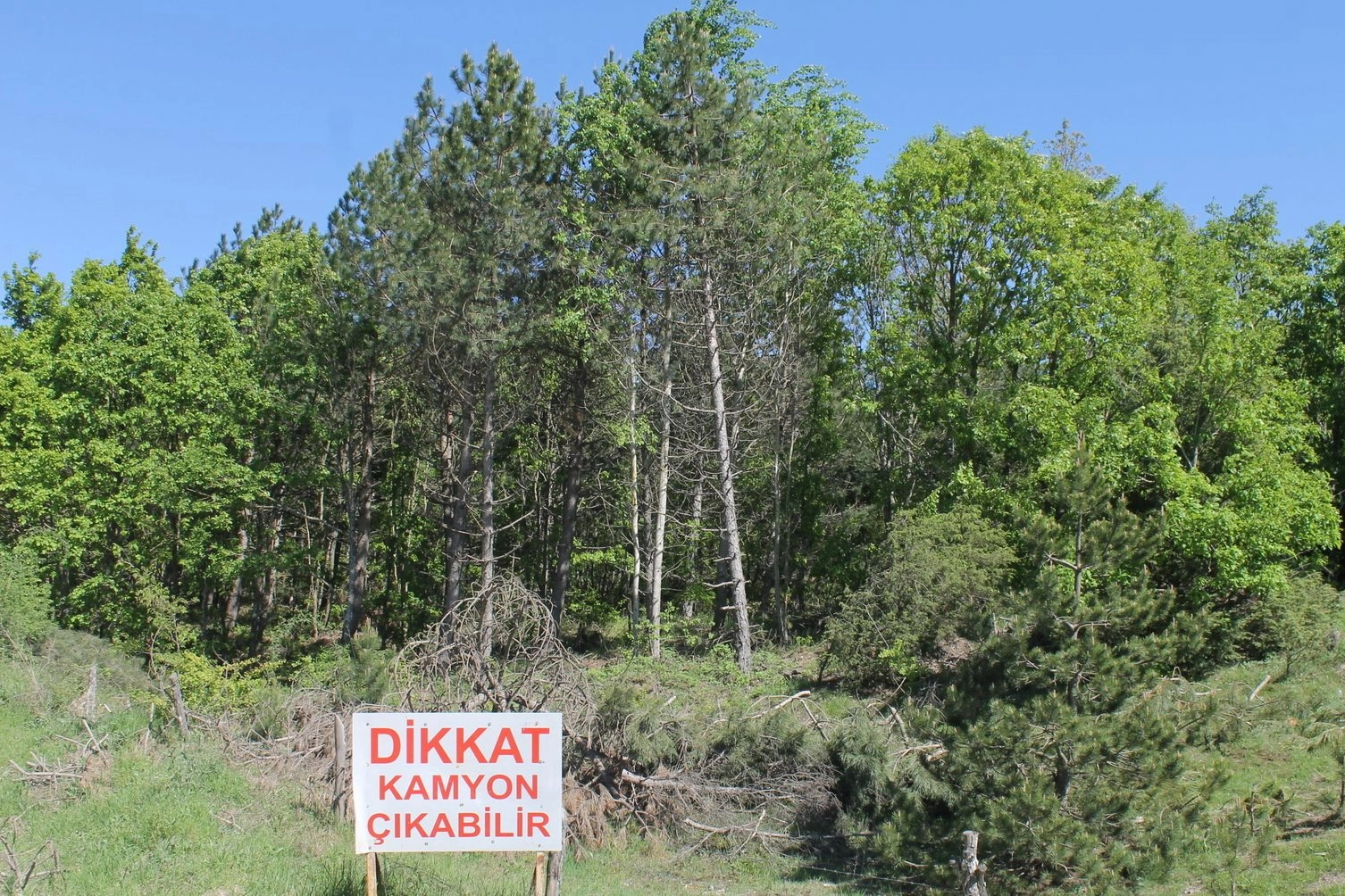Eski uygulamaları arar hale geldik! haberinin görseli
