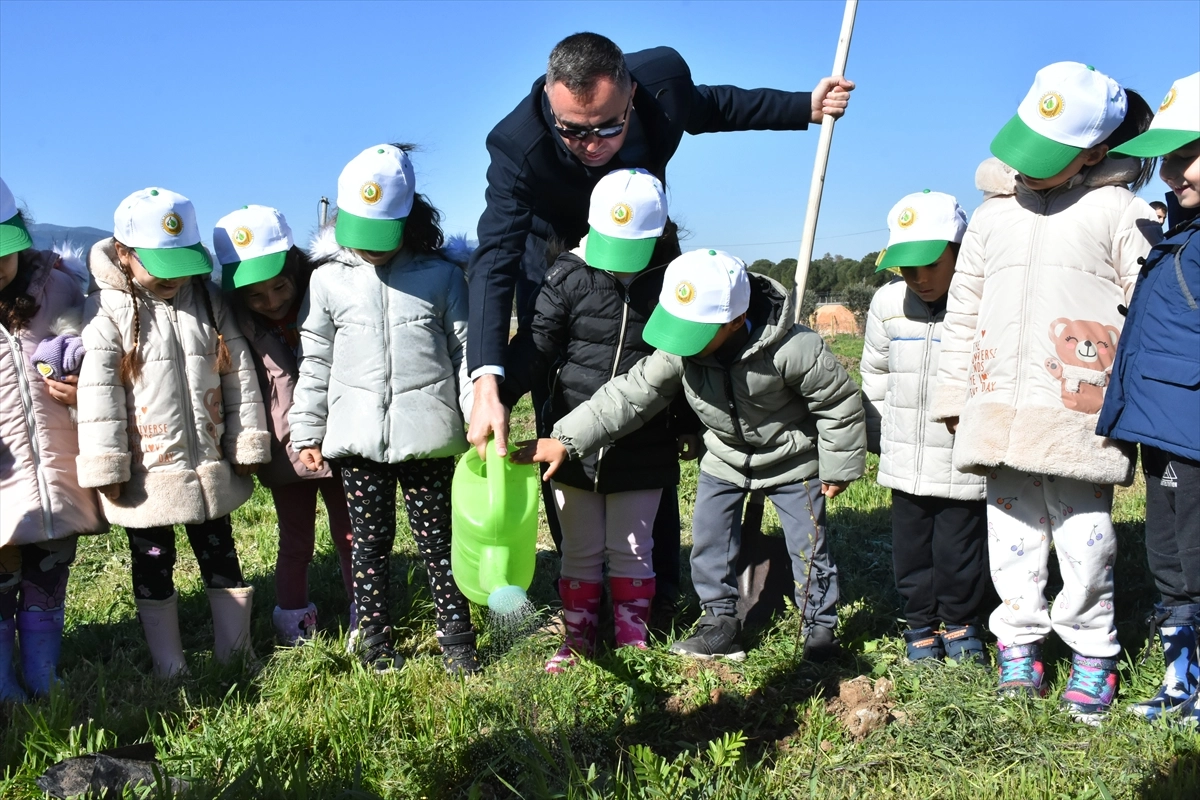 Kemalpaşa'da öğrenciler ağaçlandırma etkinliğinde buluştu