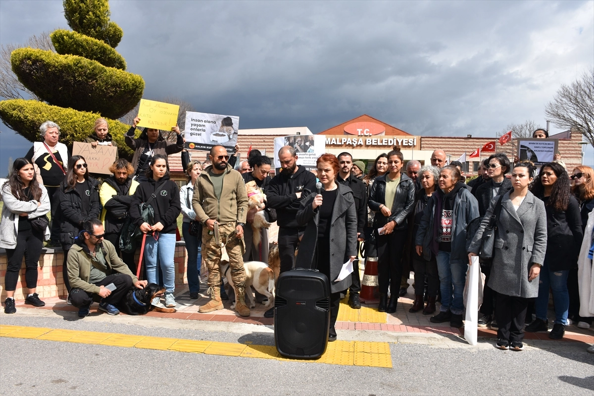 İzmir haber: Hayvanseverler ölü köpeklerin görüntülerine sessiz kalmadı