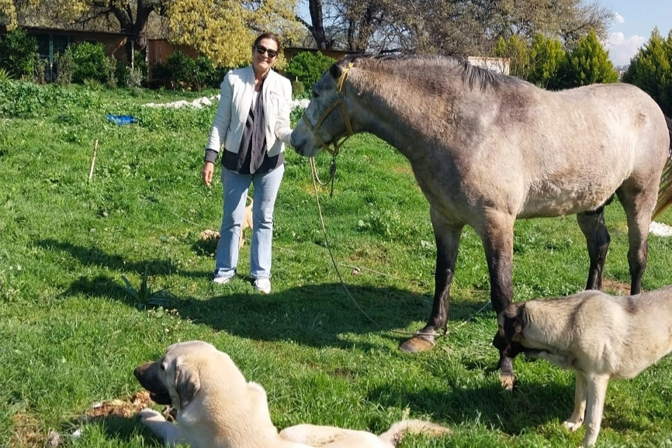 Cumhur İttifakı Güzenbahçe adayı Saime Bucaklıoğlu'ndan barınak müjdesi