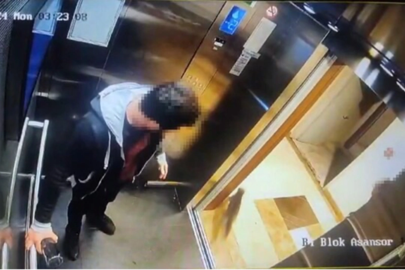Başsavcılık Kedi Eros’a verilen cezayı az buldu, karara itiraz etti haberinin görseli