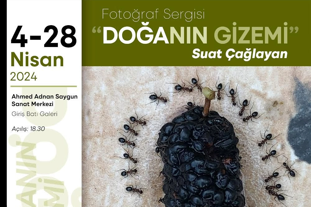 ‘Doğanın Gizemi’ 4 Nisan'da Sanatseverlerle Buluşuyor