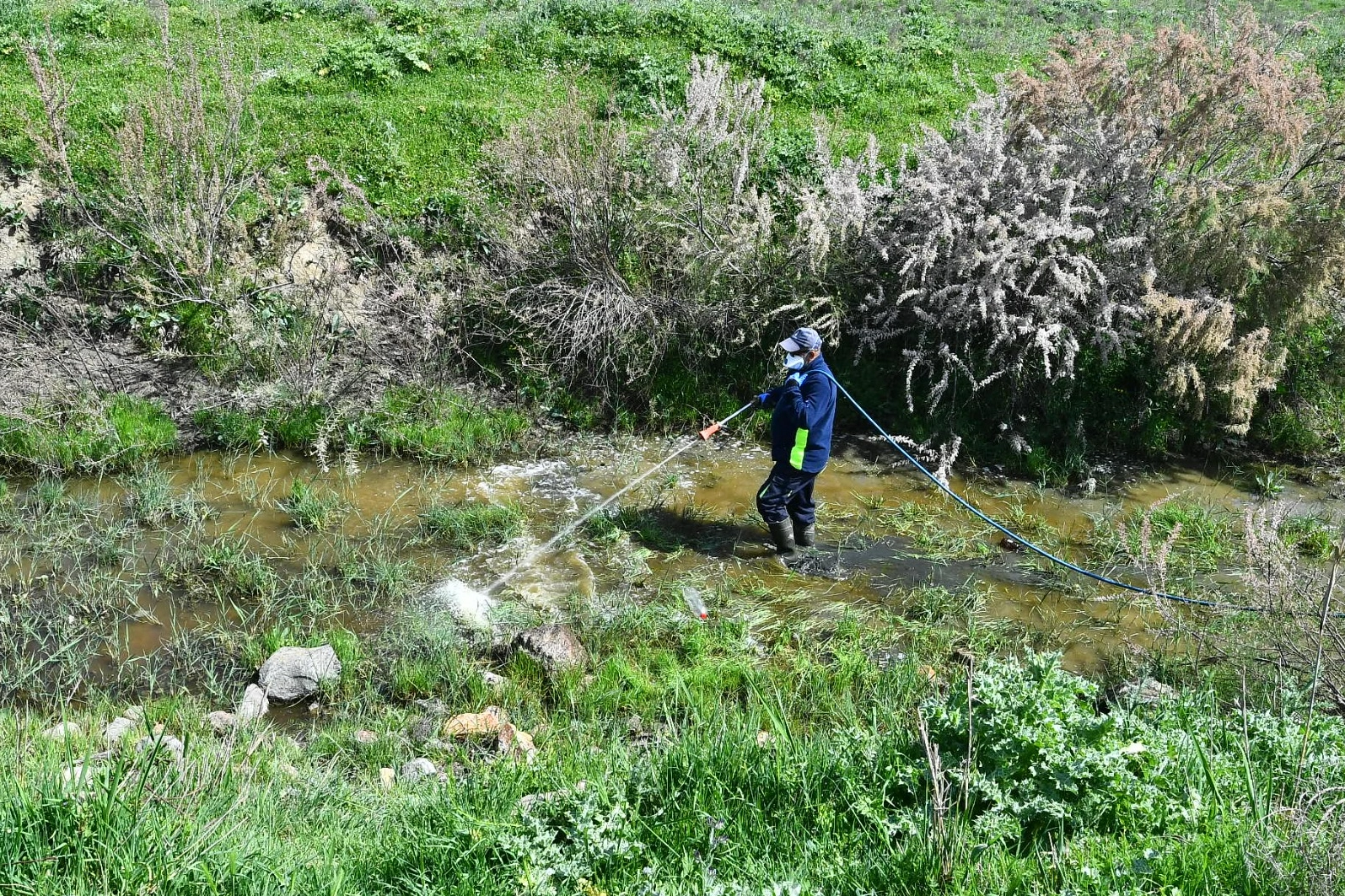 İzmir Büyükşehir'de kent geneli ilaçlama çalışmaları hızlandı