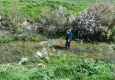 İzmir Büyükşehir&#039;de kent geneli ilaçlama çalışmaları hızlandı