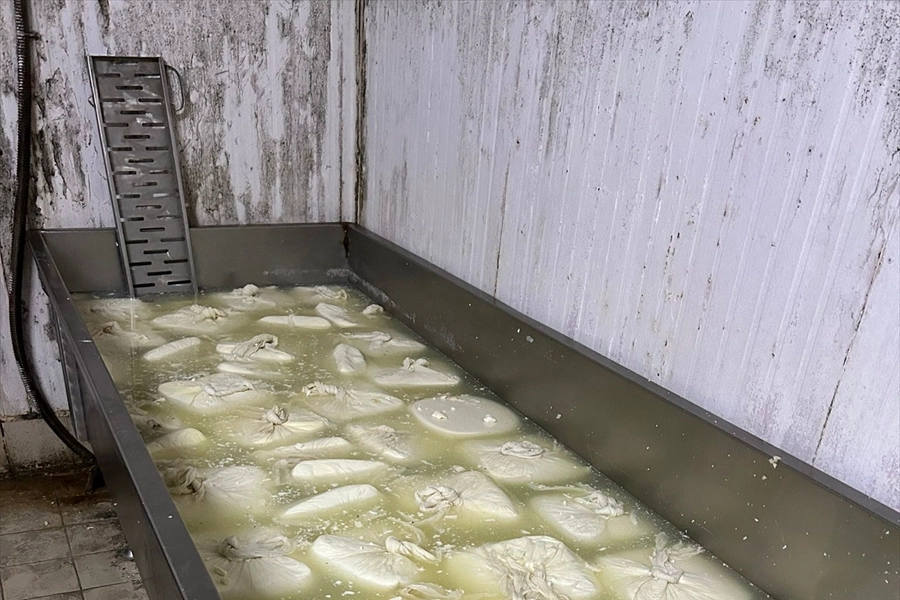 İzmir'deki işletmede skandal! 20 ton tarihi geçmiş peynir imha edildi haberinin görseli