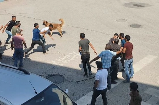 Tunceli’de iki grup birbirine girdi: Ölü ve yaralılar var haberinin görseli