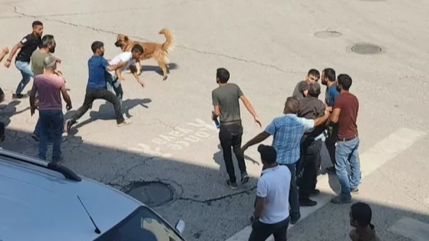 Tunceli’de iki grup birbirine girdi: Ölü ve yaralılar var