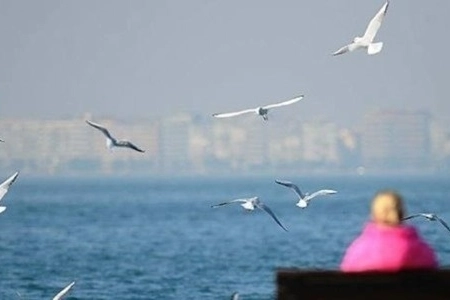 Yurtta hava durumu nasıl? Sıcaklıklar devam edecek mi? haberinin görseli