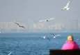 Yurtta hava durumu nasıl? Sıcaklıklar devam edecek mi?
