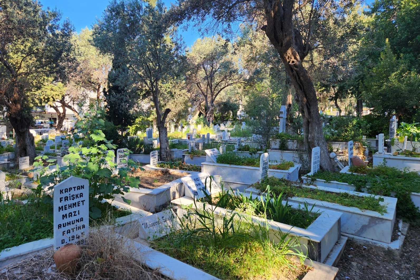Muğla'da mezarlıklarda temizlik ve bakım çalışmaları yapıldı haberinin görseli