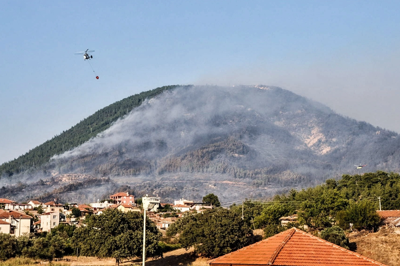 İzmir'de 3 gün boyunca yanan ormanın yeniden olması 30 yıl alacak